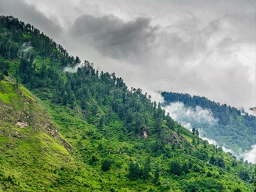 Shimla Kullu Manali tour